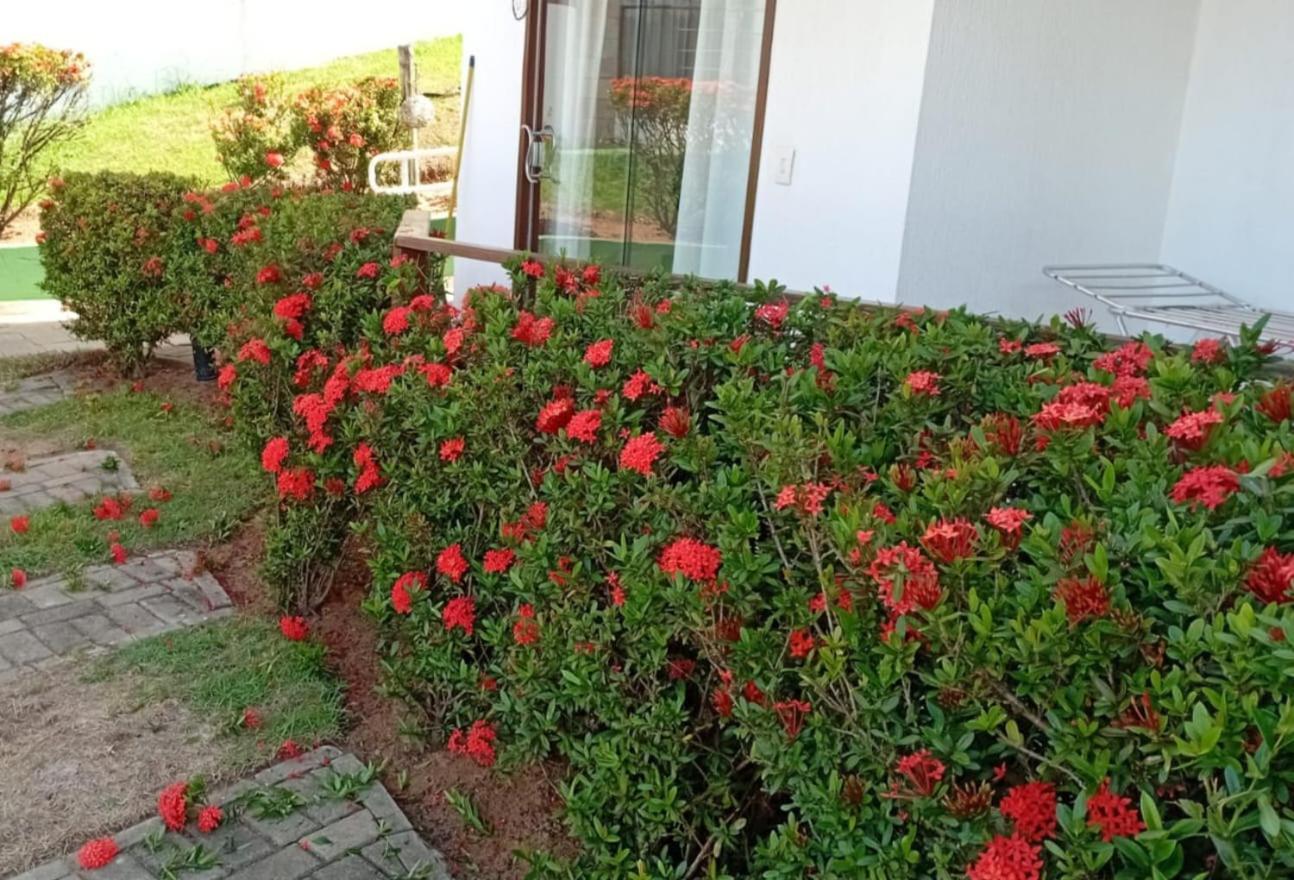 Flat Em Pipa - Brisas Do Amor Praia de Pipa Room photo